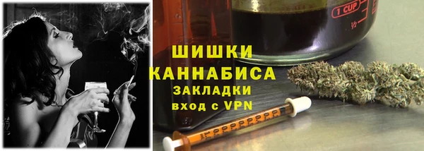 прущий лед Вяземский