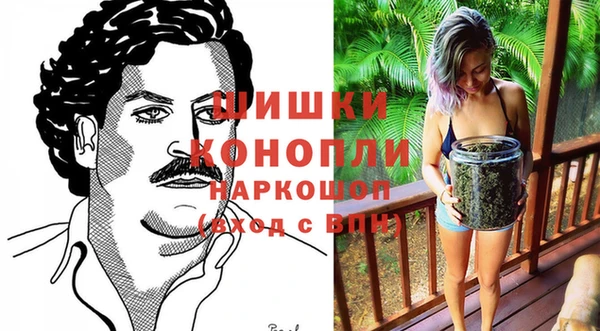 стаф Володарск