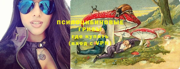 сатива Тайга