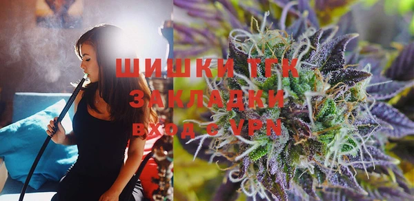 прущий лед Вяземский