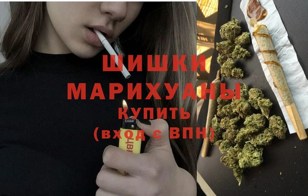 стаф Володарск