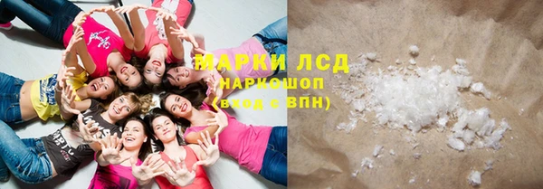 стаф Володарск