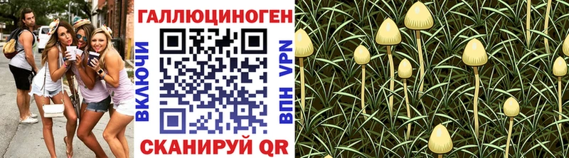 mega зеркало Дмитровск Псилоцибиновые грибы прущие грибы